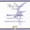 Fantasy In C Major Op. 17 • Symphonic Etudes Op. 13