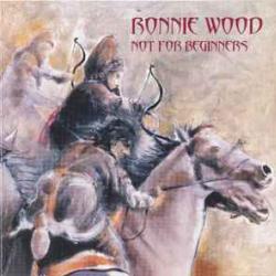 RONNIE WOOD NOT FOR BEGINNERS Фирменный CD 