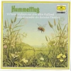 Hummelflug - Virtuose Violinen
