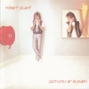 Pictures At Eleven