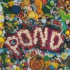 POND