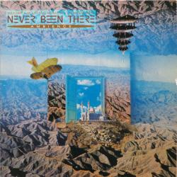 NEVER BEEN THERE AMBIENCE Виниловая пластинка 