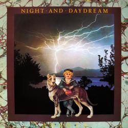 ANANTA NIGHT AND DAYDREAM Виниловая пластинка 