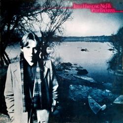 PETER BAUMANN Trans Harmonic Nights Виниловая пластинка PETER BAUMANN Trans Harmonic Nights Виниловая пластинка
