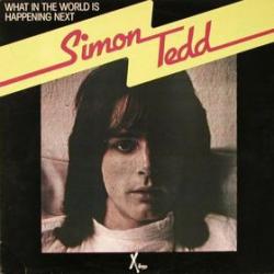 SIMON TEDD WHAT IN THE WORLD IS HAPPENING NEXT Виниловая пластинка 