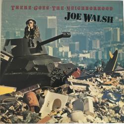 JOE WALSH There Goes The Neighborhood Виниловая пластинка 