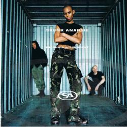 SKUNK ANANSIE Paranoid & Sunburnt Фирменный CD SKUNK ANANSIE Paranoid & Sunburnt Фирменный CD