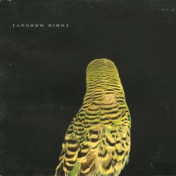 Andrew Bird Armchair Apocrypha Фирменный CD Andrew Bird Armchair Apocrypha Фирменный CD