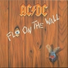 Fly On The Wall