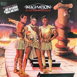 IMAGINATION IN THE HEAT OF THE NIGHT Виниловая пластинка 