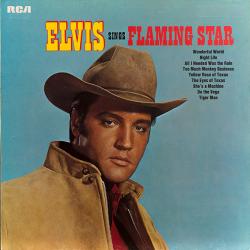 ELVIS PRESLEY ELVIS SINGS FLAMING STAR Виниловая пластинка ELVIS PRESLEY ELVIS SINGS FLAMING STAR Виниловая пластинка