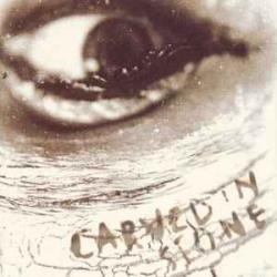 VINCE NEIL CARVED IN STONE Фирменный CD 