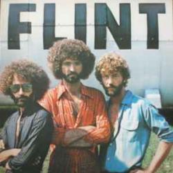 FLINT FLINT Виниловая пластинка 