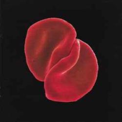 PETER GABRIEL SCRATCH MY BACK Фирменный CD PETER GABRIEL SCRATCH MY BACK Фирменный CD