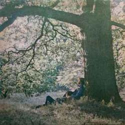 Yoko Ono / Plastic Ono Band Yoko Ono / Plastic Ono Band Виниловая пластинка 