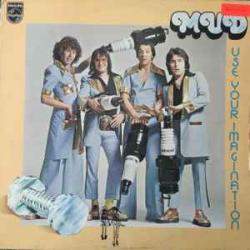 MUD USE YOUR IMAGINATION Виниловая пластинка 