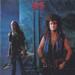 MCAULEY SCHENKER GROUP PERFECT TIMING Виниловая пластинка MCAULEY SCHENKER GROUP PERFECT TIMING Виниловая пластинка