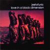 LOVE IN A BLACK DIMENSION