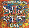 BRITISH BLUES EXPLOSION LIVE