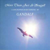 MORE THAN JUST A SEAGULL