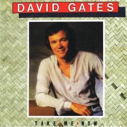 DAVID GATES TAKE ME NOW Виниловая пластинка DAVID GATES TAKE ME NOW Виниловая пластинка