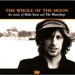 Mike Scott And The Waterboys The Whole Of The Moon (The Music Of Mike Scott And The Waterboys) Фирменный CD Mike Scott And The Waterboys The Whole Of The Moon (The Music Of Mike Scott And The Waterboys) Фирменный CD