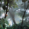 Incantation
