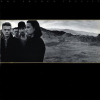 JOSHUA TREE