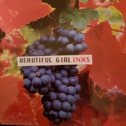 INXS Beautiful Girl Фирменный CD 