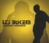 Journey Inwards