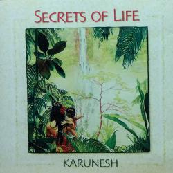 KARUNESH SECRETS OF LIFE Фирменный CD KARUNESH SECRETS OF LIFE Фирменный CD