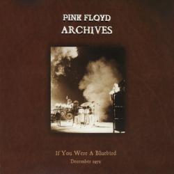 PINK FLOYD If You Were A Bluebird (December 1972) Фирменный CD 