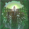 Kashmir: Symphonic Led Zeppelin