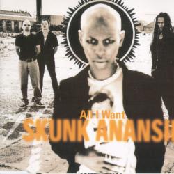 SKUNK ANANSIE All I Want Фирменный CD SKUNK ANANSIE All I Want Фирменный CD