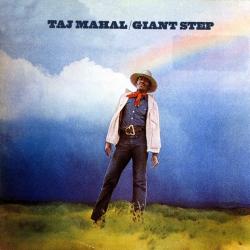 TAJ MAHAL Giant Step & De Ole Folks At Home Фирменный CD TAJ MAHAL Giant Step & De Ole Folks At Home Фирменный CD