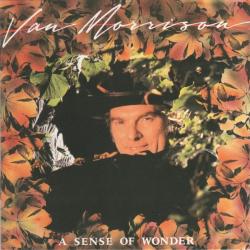 VAN MORRISON A Sense Of Wonder Фирменный CD VAN MORRISON A Sense Of Wonder Фирменный CD
