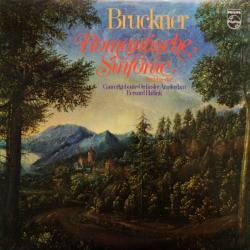 BRUCKNER BERNARD HAITINK Romantische Sinfonie (Nr.4 Es-dur) Виниловая пластинка BRUCKNER BERNARD HAITINK Romantische Sinfonie (Nr.4 Es-dur) Виниловая пластинка